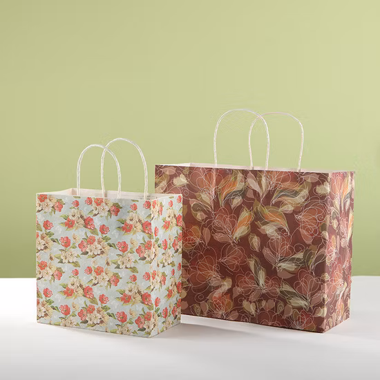 Recycled Biodegradable Retail Grocery Shopping Packaging Custom Made Fast Food Take Away Clothes Packaging Kraft Paper Bag